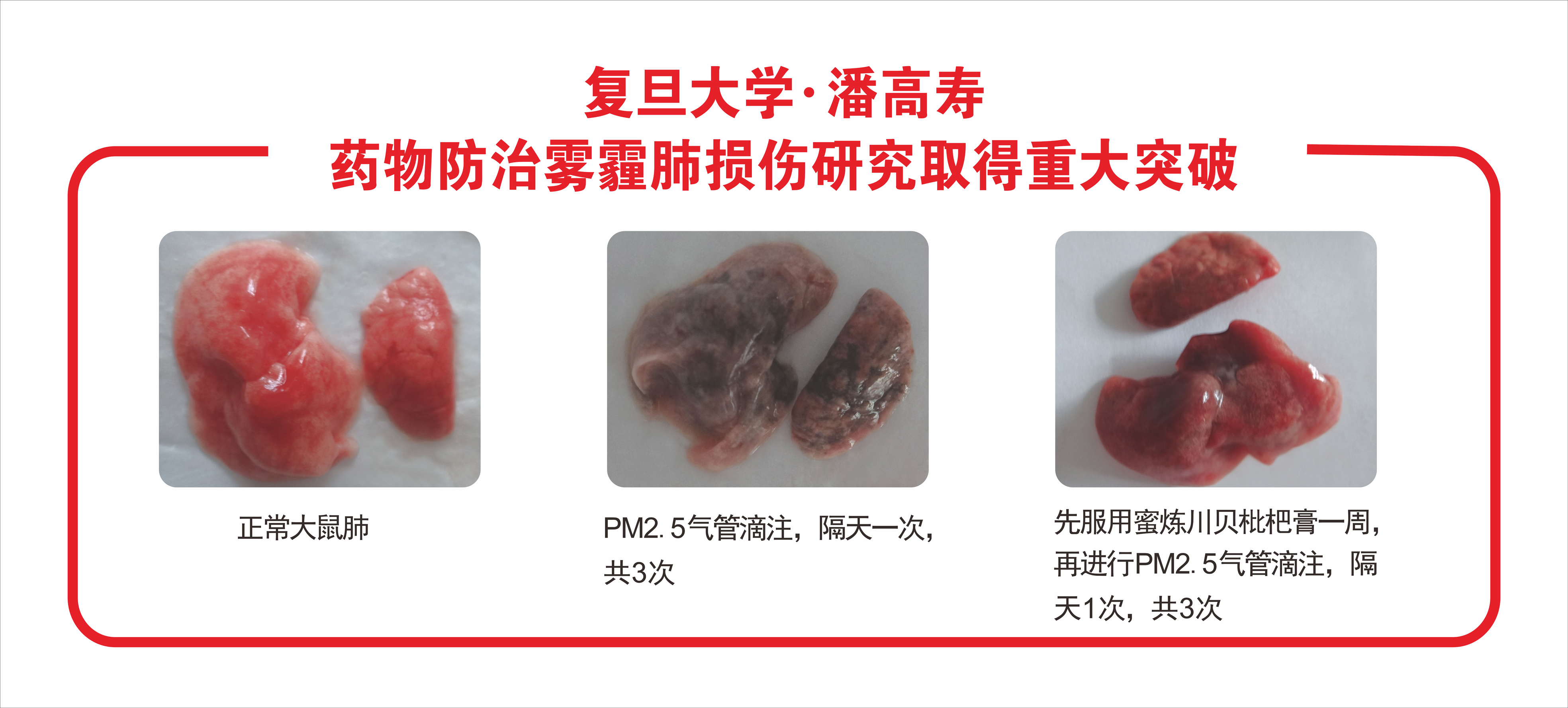 微信圖片_20190109143211.jpg 微信圖片_20190109143211.jpg